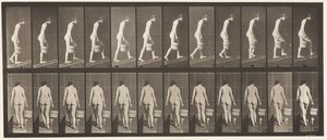 Placa 84. Subiendo una pendiente, cubo de agua en la mano derecha de Eadweard Muybridge