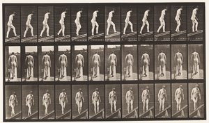 Placa 85. Subiendo una pendiente de Eadweard Muybridge
