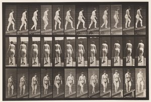 Placa 86. Subiendo inclinación de Eadweard Muybridge