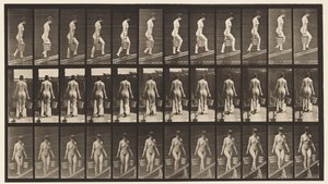 Placa 87. Subiendo inclinación, cubo de agua en cada mano de Eadweard Muybridge