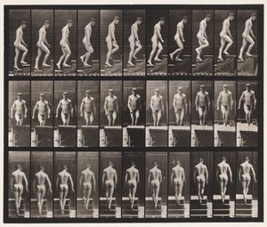 Placa 88. Subiendo escaleras de Eadweard Muybridge