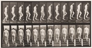 Placa 89. Subiendo escaleras de Eadweard Muybridge