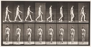Placa 8. Caminando de Eadweard Muybridge