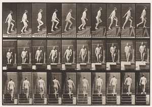 Placa 90. Subiendo escaleras de Eadweard Muybridge