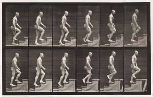Placa 91. Subiendo escaleras de Eadweard Muybridge