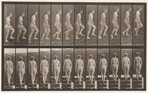 Placa 92. Subiendo Escaleras de Eadweard Muybridge