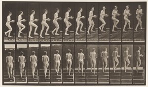 Placa 94. Subiendo Escaleras Mirando Alrededor; Cuenco en Manos de Eadweard Muybridge