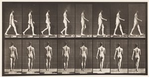 Placa 9. Caminando, 1872-1885 de Eadweard Muybridge