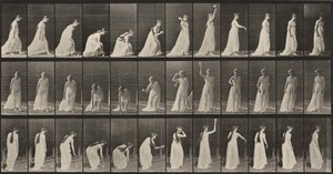 Lámina número 306. Recoger una pelota y lanzarla de Eadweard Muybridge