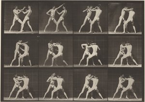Placa número 340. Boxeo, mano abierta (zapatos),1887 (foto) de Eadweard Muybridge