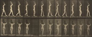 Placa número 34. Caminando y llevando una cesta de 15 libras en la cabeza, manos levantadas de Eadweard Muybridge