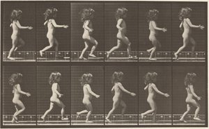 Placa número 469. Niño corriendo,1887 (foto) de Eadweard Muybridge