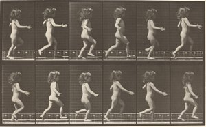 Placa Número 469. Niño corriendo de Eadweard Muybridge