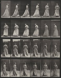Lámina número 48. Caminar y darse la vuelta con un ramo en ambas manos de Eadweard Muybridge