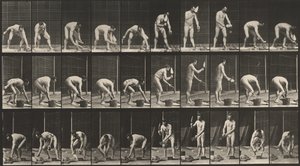 Placa número 506. Albañilería,1887 (foto) de Eadweard Muybridge