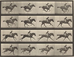 Placa número 626. Galope, yegua baya pura sangre, Annie G. de Eadweard Muybridge