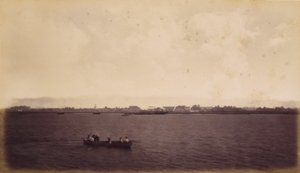Punta Arenas, Costa Rica de Eadweard Muybridge