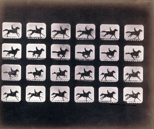 Corriendo (Galopando) por Eadweard J. Muybridge