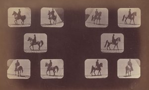 Estudios de escorzos. Caballos. Caminando. Mahoma. Nos. 119-120 de Eadweard Muybridge