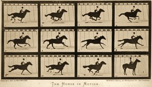El caballo en movimiento, serie 
