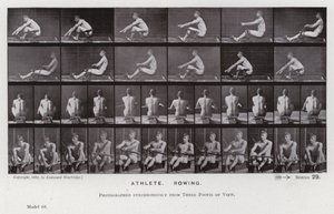La Figura Humana en Movimiento: Atleta, Remando