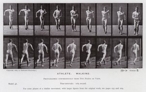La figura humana en movimiento: Atleta, caminando de Eadweard Muybridge