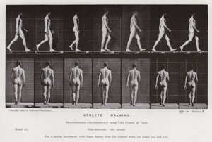 La Figura Humana en Movimiento: Atleta, Caminando de Eadweard Muybridge