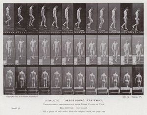 La figura humana en movimiento: Atleta, descendiendo una escalera de Eadweard Muybridge