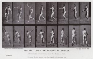 La figura humana en movimiento: Atleta, lanzamiento de cricket con brazo extendido de Eadweard Muybridge