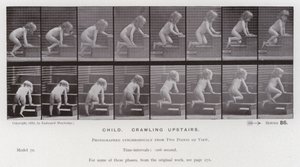 La Figura Humana en Movimiento: Niño, Gateando Escaleras Arriba de Eadweard Muybridge