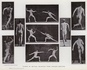 La figura humana en movimiento: Fases de movimiento, seleccionadas de varias series de Eadweard Muybridge