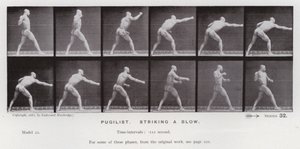 La figura humana en movimiento: Pugilista, lanzando un golpe de Eadweard Muybridge