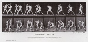 La Figura Humana en Movimiento: Púgiles, Boxeo de Eadweard Muybridge