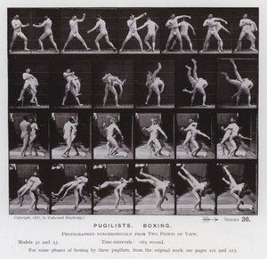 La figura humana en movimiento: Pugilistas, boxeo de Eadweard Muybridge