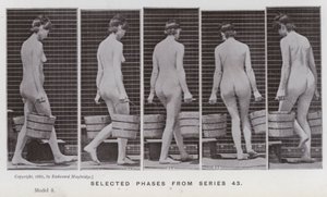 La figura humana en movimiento: Fases seleccionadas de la serie 43 de Eadweard Muybridge