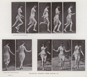 La figura humana en movimiento: Fases seleccionadas de la serie 53 de Eadweard Muybridge