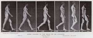 La figura humana en movimiento: Algunas fases en la caminata de un atleta de Eadweard Muybridge