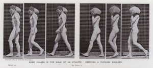 La figura humana en movimiento: Algunas fases en la caminata de un atleta, cargando una roca de 75 libras de Eadweard Muybridge
