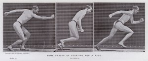 La figura humana en movimiento: Algunas fases de inicio de una carrera de Eadweard Muybridge