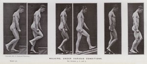 La Figura Humana en Movimiento: Caminando, Bajo Varias Condiciones de Eadweard Muybridge