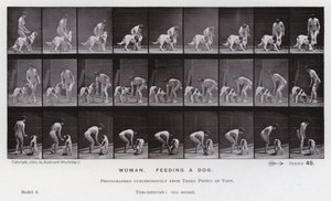 La figura humana en movimiento: Mujer, alimentando a un perro de Eadweard Muybridge