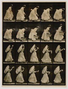 Mujer levantando una cesta, agitando un pañuelo, del libro Animal Locomotion de Eadweard Muybridge