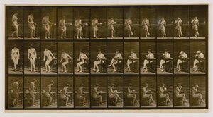 Mujer sentada, piernas cruzadas, bebiendo de una taza de té, del libro Animal Locomotion