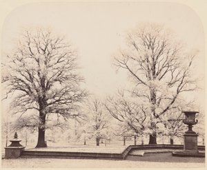Hoarfrost, a Park Scene,1862 (foto) de Earl of Caithness