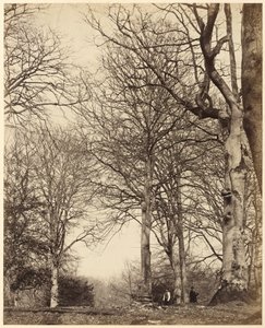 Haya de la Reina Adelaida,1864 (foto) de Earl of Caithness