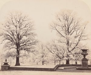 Escarcha, una escena de parque de Earl of Caithness James Sinclair