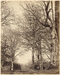 El Haya de la Reina Adelaida de Earl of Caithness and William Bambridge