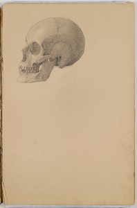 Cuaderno de Bocetos de Anatomía, 1849 de Eastman Johnson