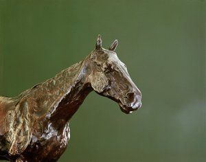 Cabeza de caballo (detalle)