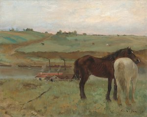 Caballos en un prado